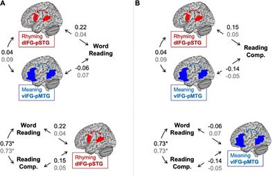 Neural pathways of phonological and semantic processing and ... Biology Diagrams